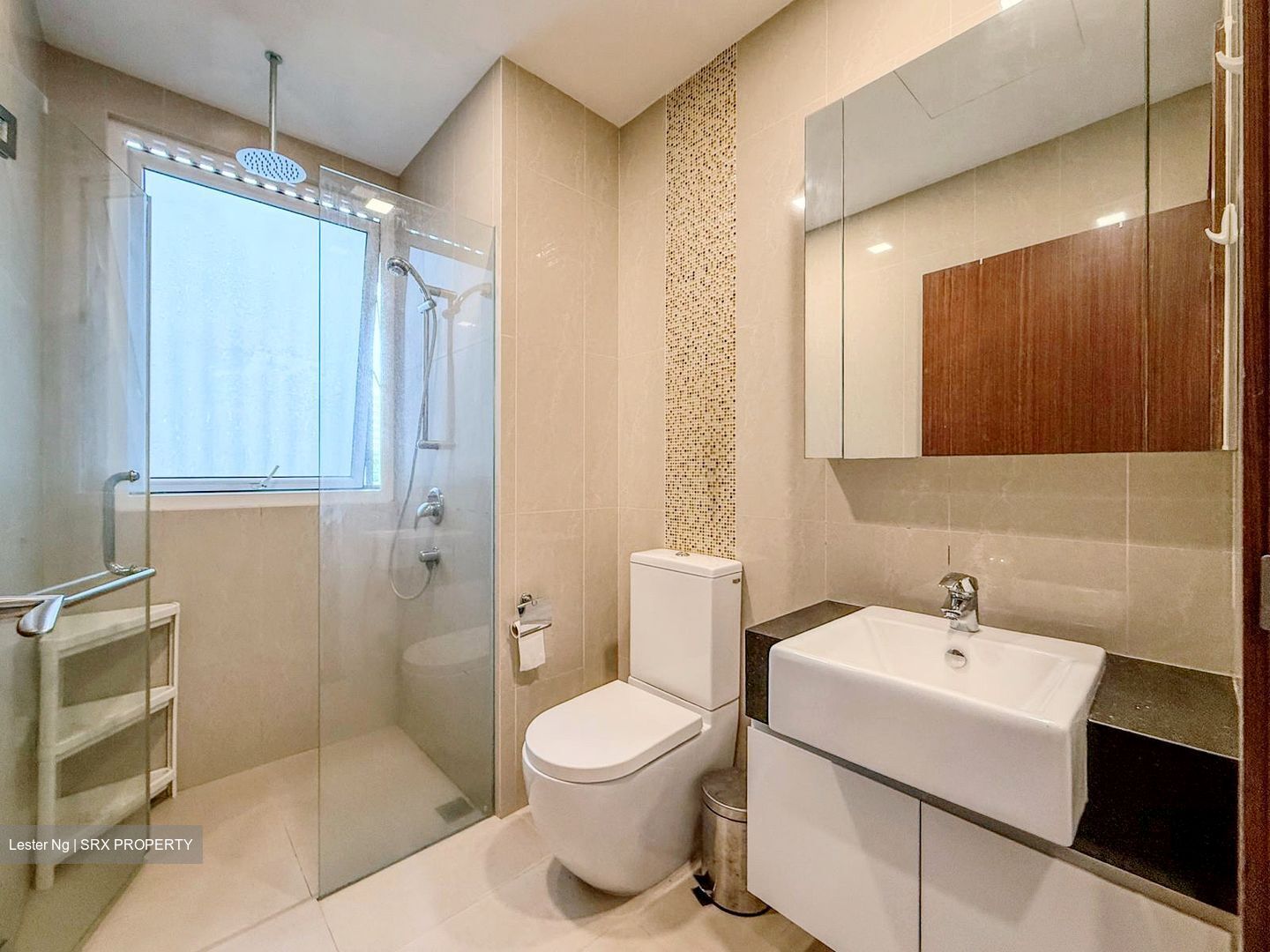 8 Bassein (D11), Apartment #596485061